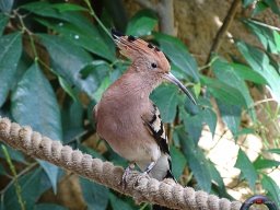 Tiergarten Schönbrunn am 23.03.2023